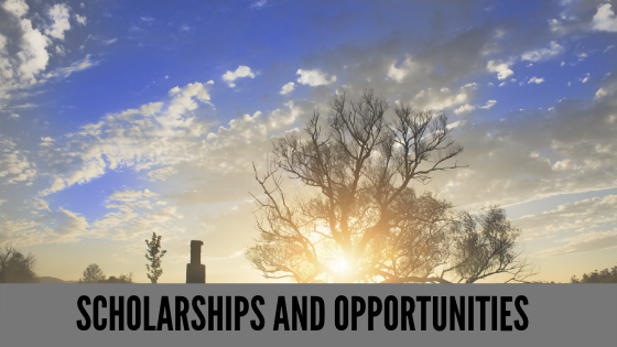 Scholarships and opportunites.png