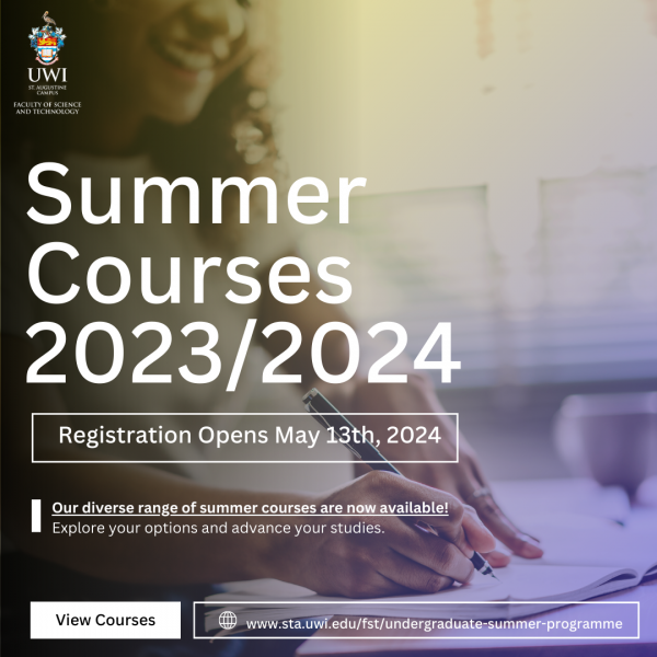 undergraduate summer programme 20222023.png